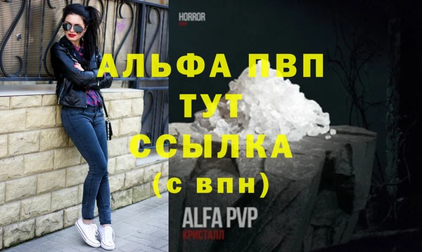 стаф Ладушкин