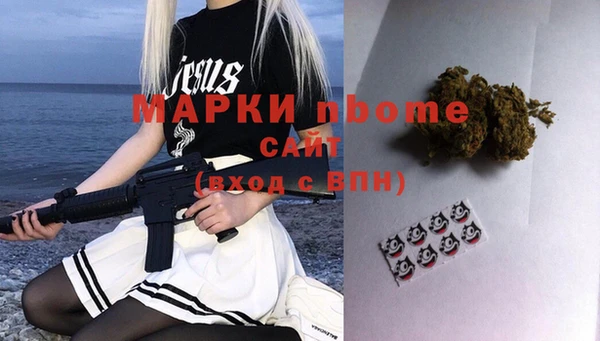 стаф Ладушкин