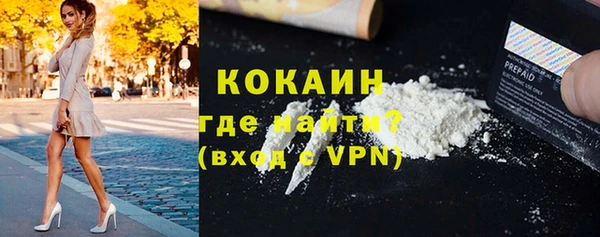 стаф Ладушкин