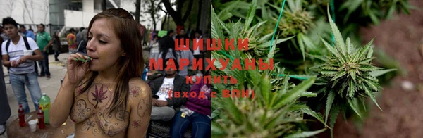 стаф Ладушкин