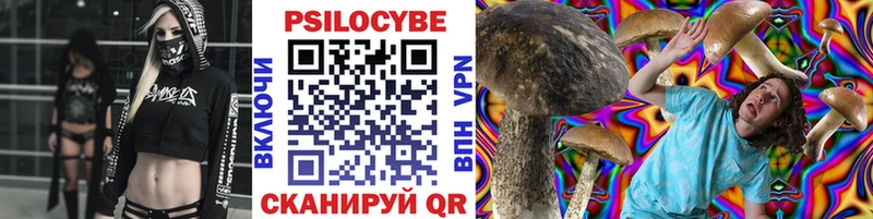 Псилоцибиновые грибы Psilocybine cubensis  Купить где  Надым 